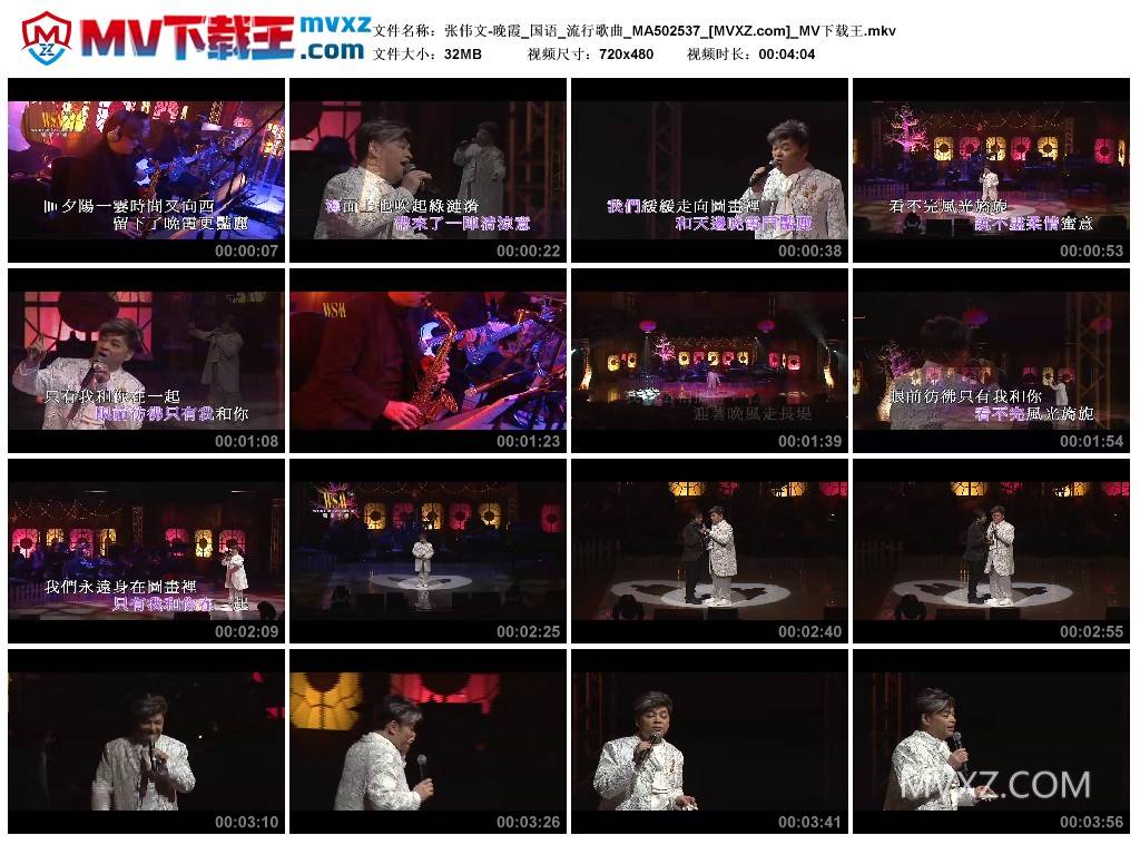 张伟文-晚霞_国语_流行歌曲_MA502537